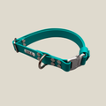 BioThane® Halsband grün mit silbernen Beschlägen - Einzelstück