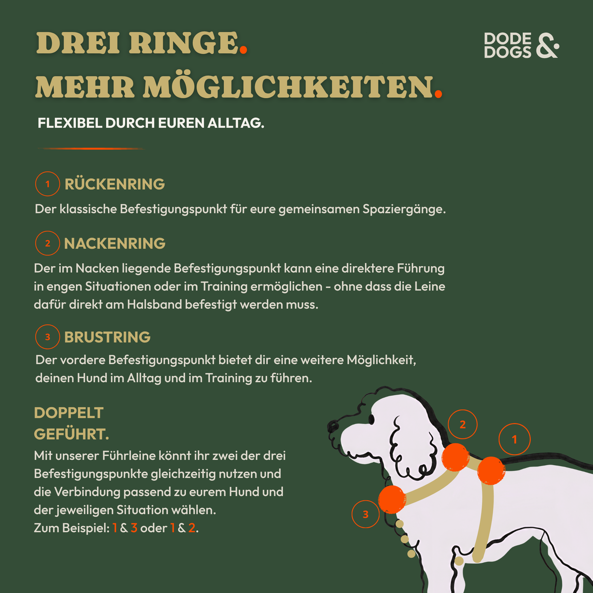 Geschirr - Signature Edition