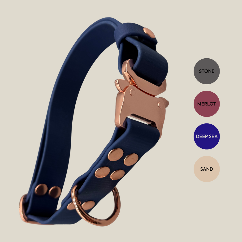 Halsband - Rose Edition