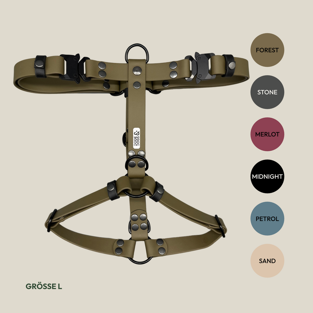 Geschirr - Signature Edition