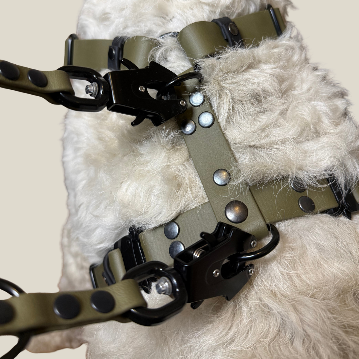 Detail des BioThane® Hundegeschirrs Signature mit hochwertigen Beschlägen