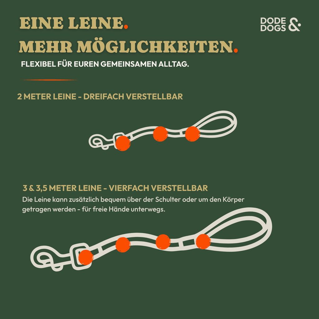Führleine Classic - Rose Edition