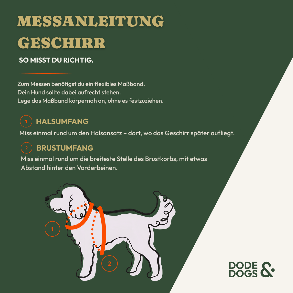 Geschirr - Rose Edition