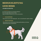 Geschirr - Signature Edition