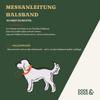 Halsband - Rose Edition
