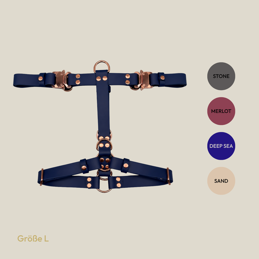 Geschirr - Rose Edition